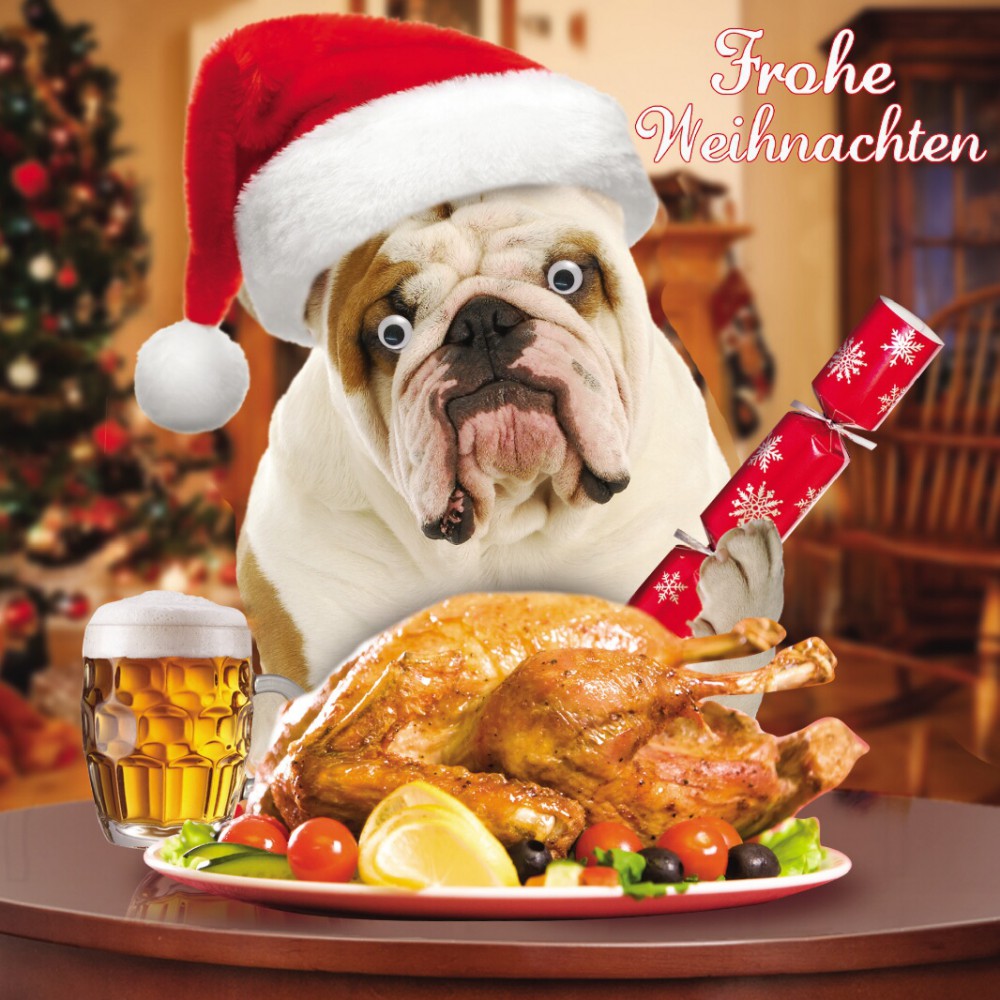 Weihnachten Humor Grußkarte Googlies Wackelaugen Hund mit Gans Frohe