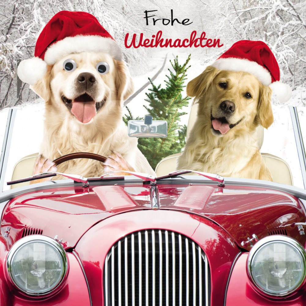 Weihnachten Humor Grußkarte Googlies Wackelaugen Hunde Ausflug Frohe